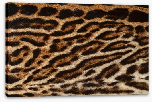Animal Print