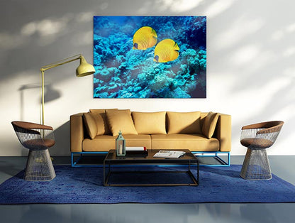 Yellow coral fish