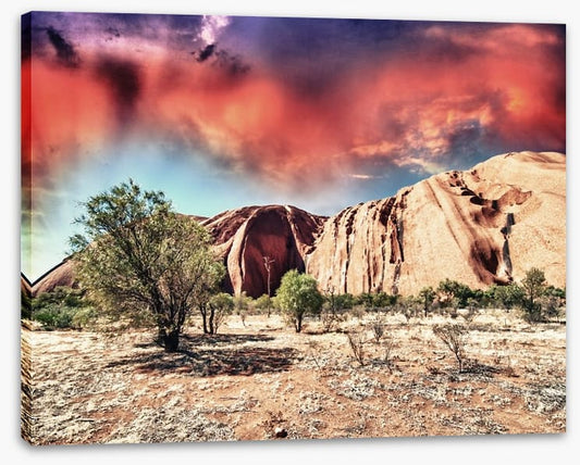 The magnificent Outback