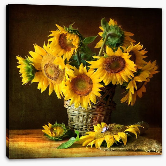 Sunflowers
