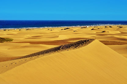 Desert