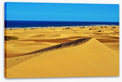 Desert