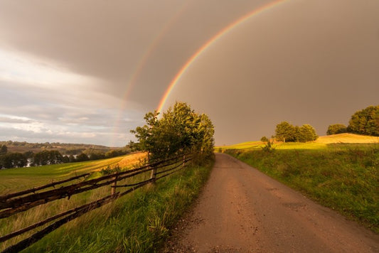 Rainbows