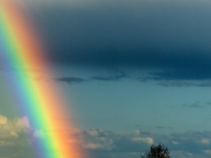 Rainbows