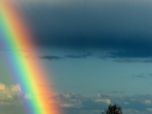Rainbows