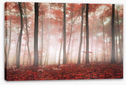 Red leaf forest