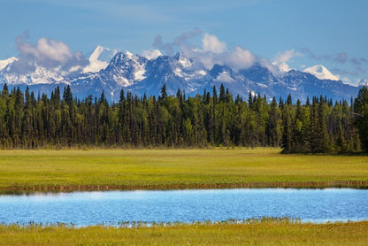 Alaskan beauty