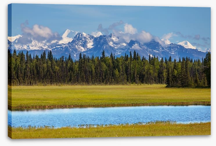 Alaskan beauty