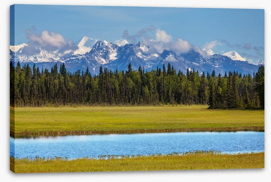 Alaskan beauty