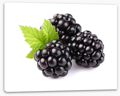 Blackberry trio