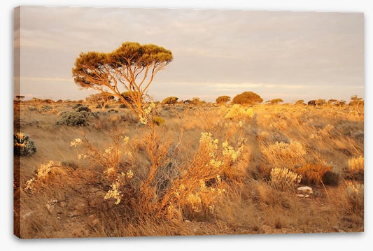 Alone on the Nullarbor