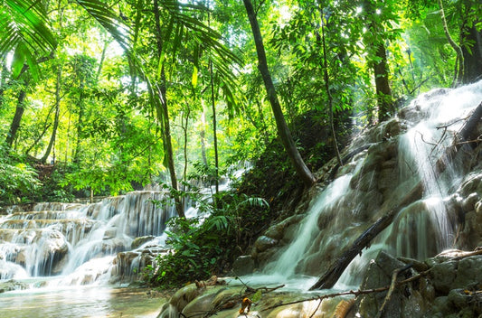 Falling through the jungle