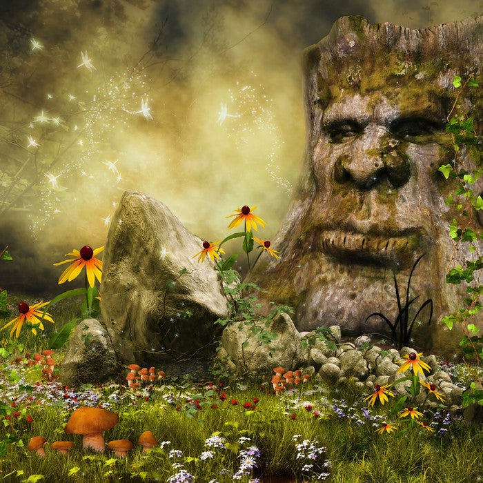 Fantasy