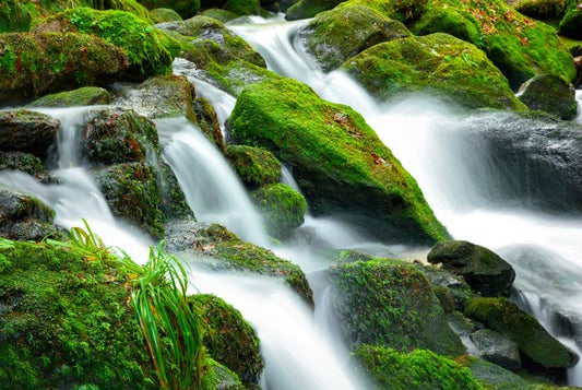 Green moss cascades