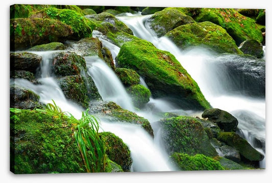 Green moss cascades