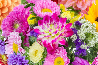 Asteraceae