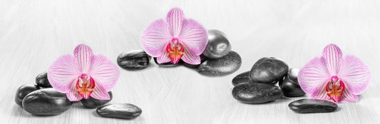 Overarching beauty