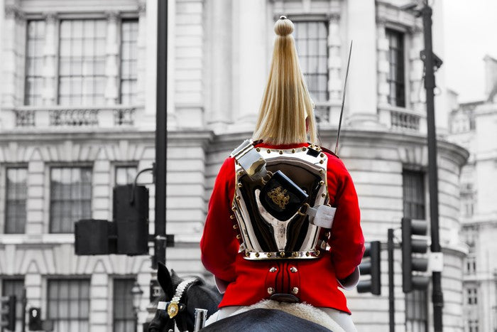 The Royal Horse Guard