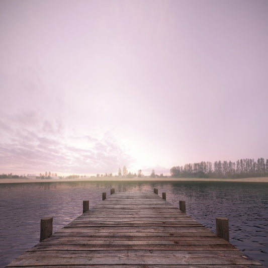Lonesome on the lake