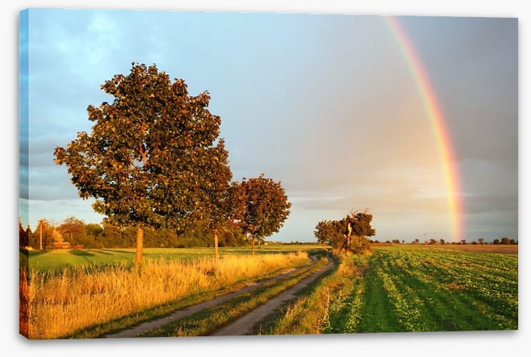 Rainbow glow