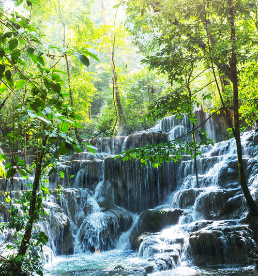 Lush jungle falls