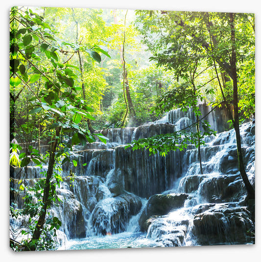 Lush jungle falls
