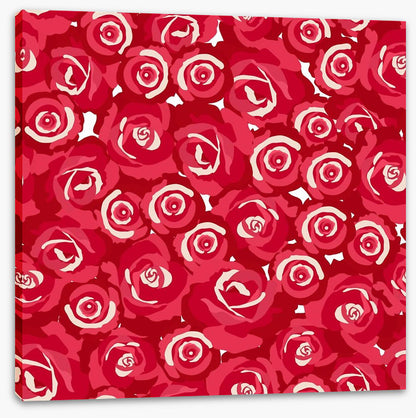 Red rosebuds