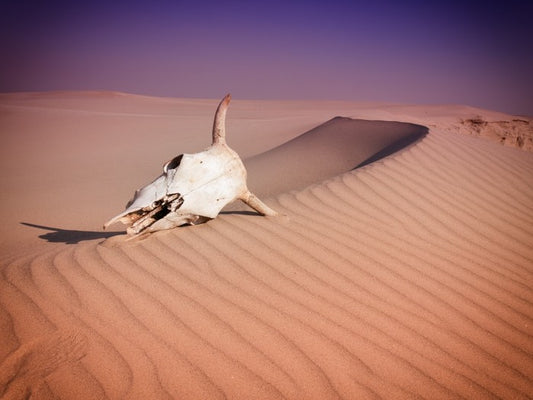 Desert