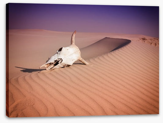 Desert