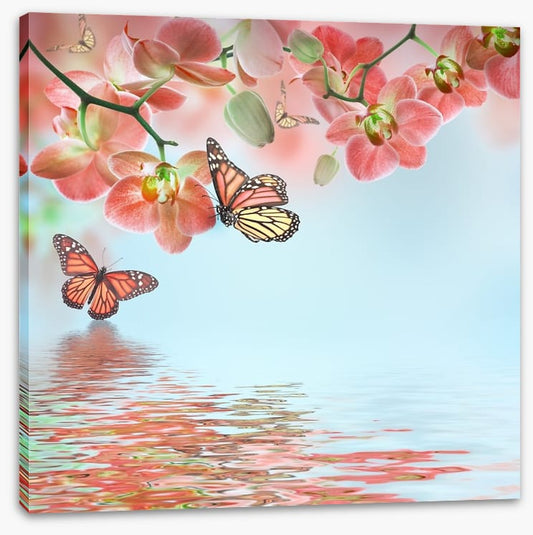 Butterfly zen