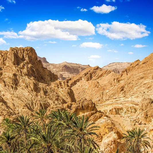 Chebika oasis, Tunisia