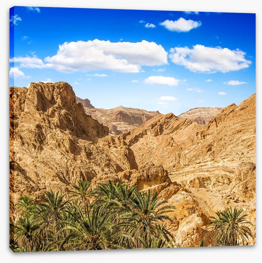 Chebika oasis, Tunisia