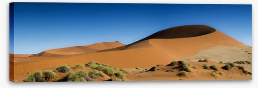 Desert