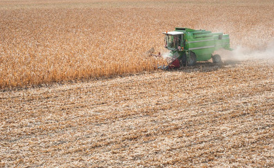 Agriculture