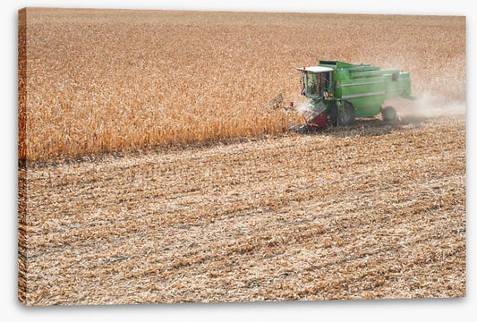 Agriculture
