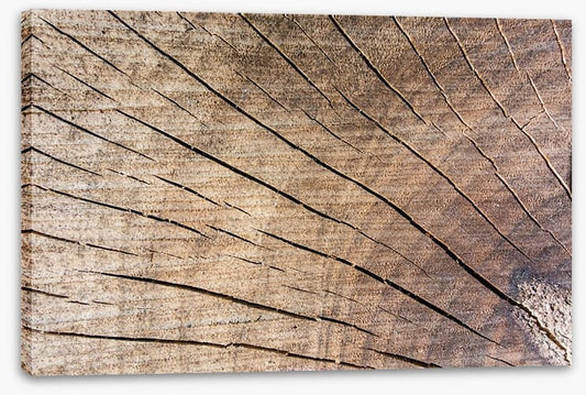 Against the grain