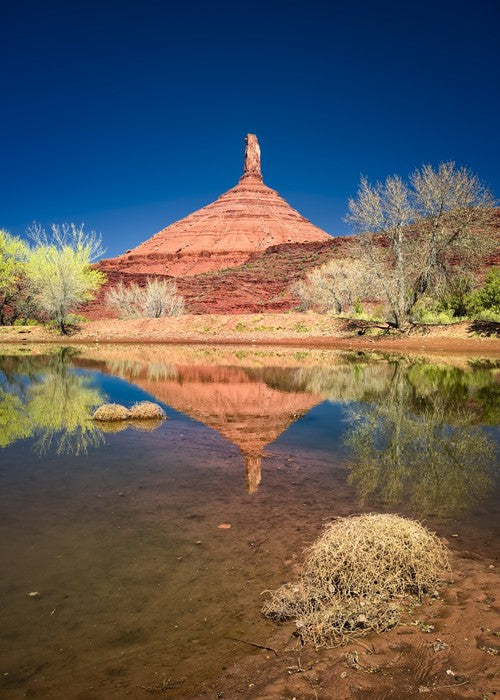 Desert