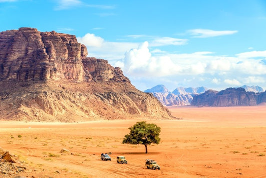 Desert