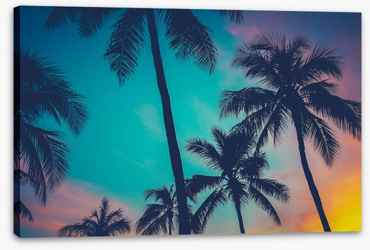 Palm tree perfection, Hawaii