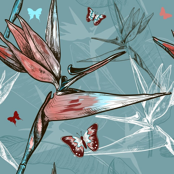 Butterflies