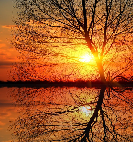 Sunburnt silhouette