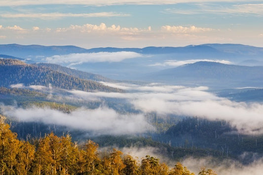 Hartz Mountains National Park, Tasmania