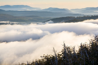 Tasmania