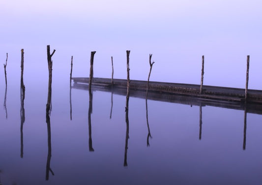 Dawning zen