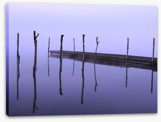 Dawning zen