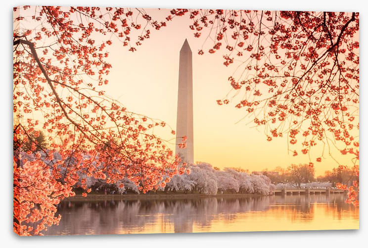 Golden blossom memorial