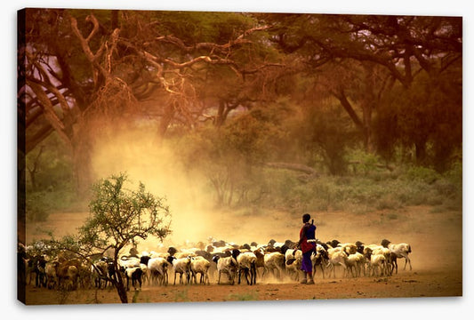 Herding the goats