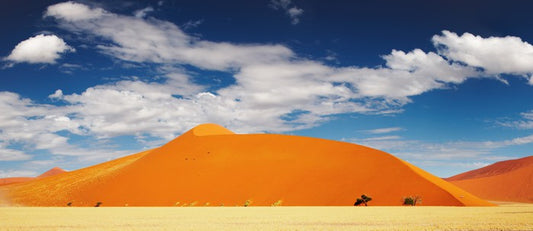 Desert