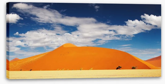 Desert