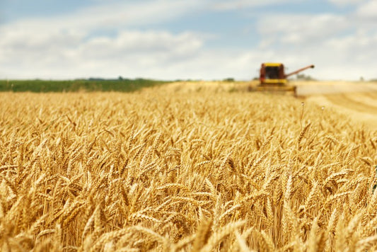 Agriculture